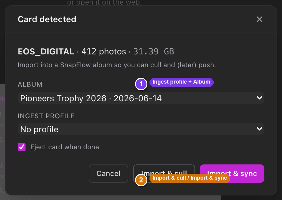 The Card detected import sheet, showing the album picker and the two import buttons