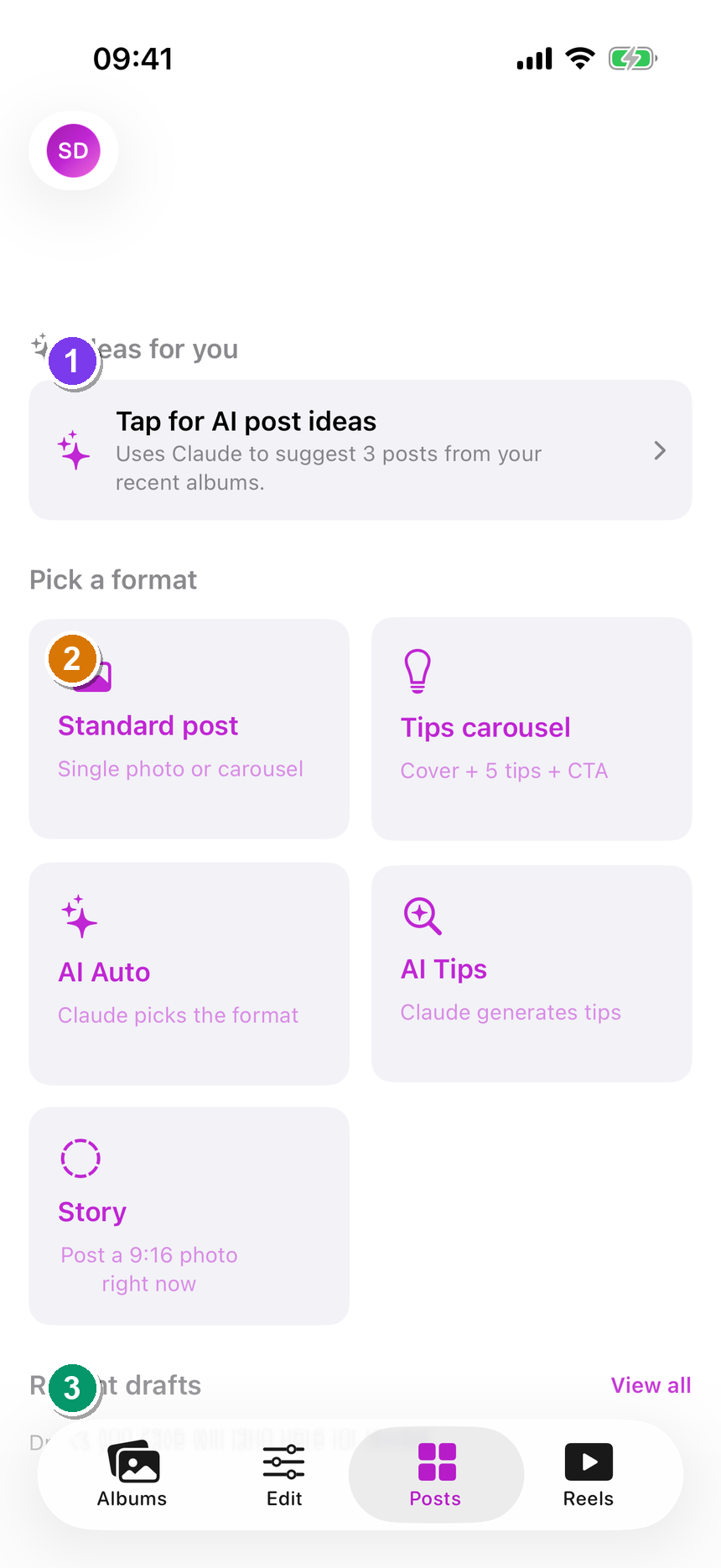 The Posts tab — the Pick a format card grid and recent drafts